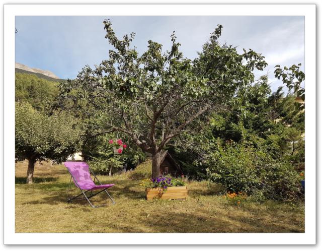 Le jardin de l'appartement en location en fin d'été